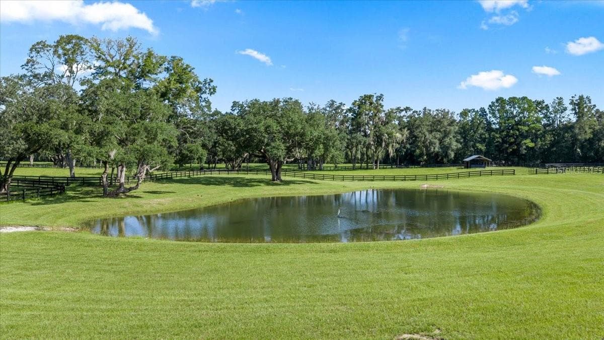 Farm at 11140 NW 160TH AVE, MORRISTON, photo 25 of 90