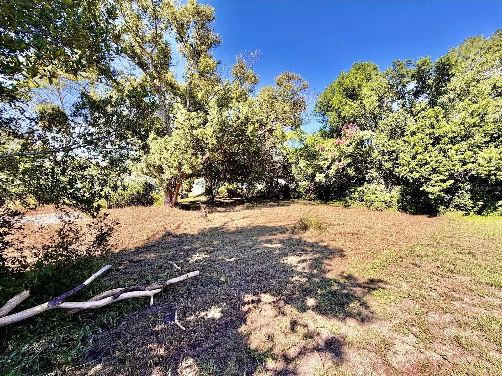 Land at 11411 SAGAMORE ST, SPRING HILL, photo 6 of 12
