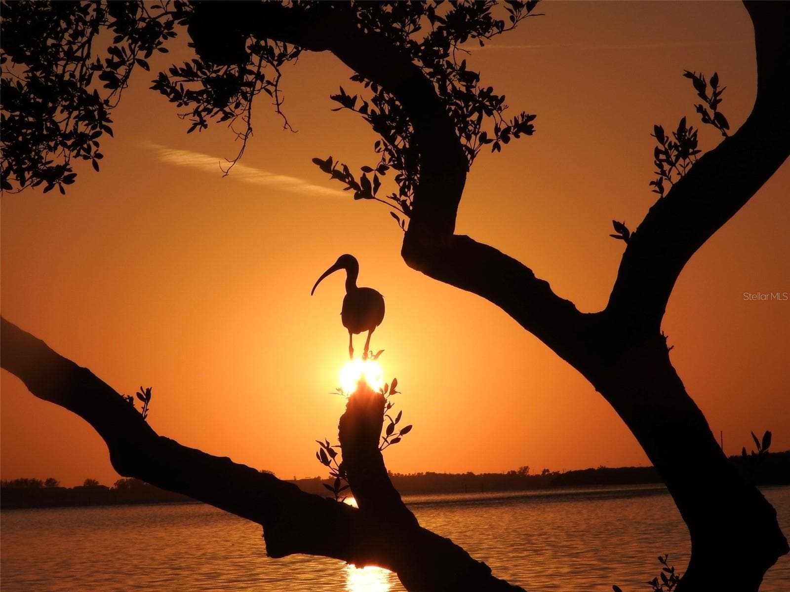 Mt Vernon sunset - 4605 LEXINGTON CIR, BRADENTON