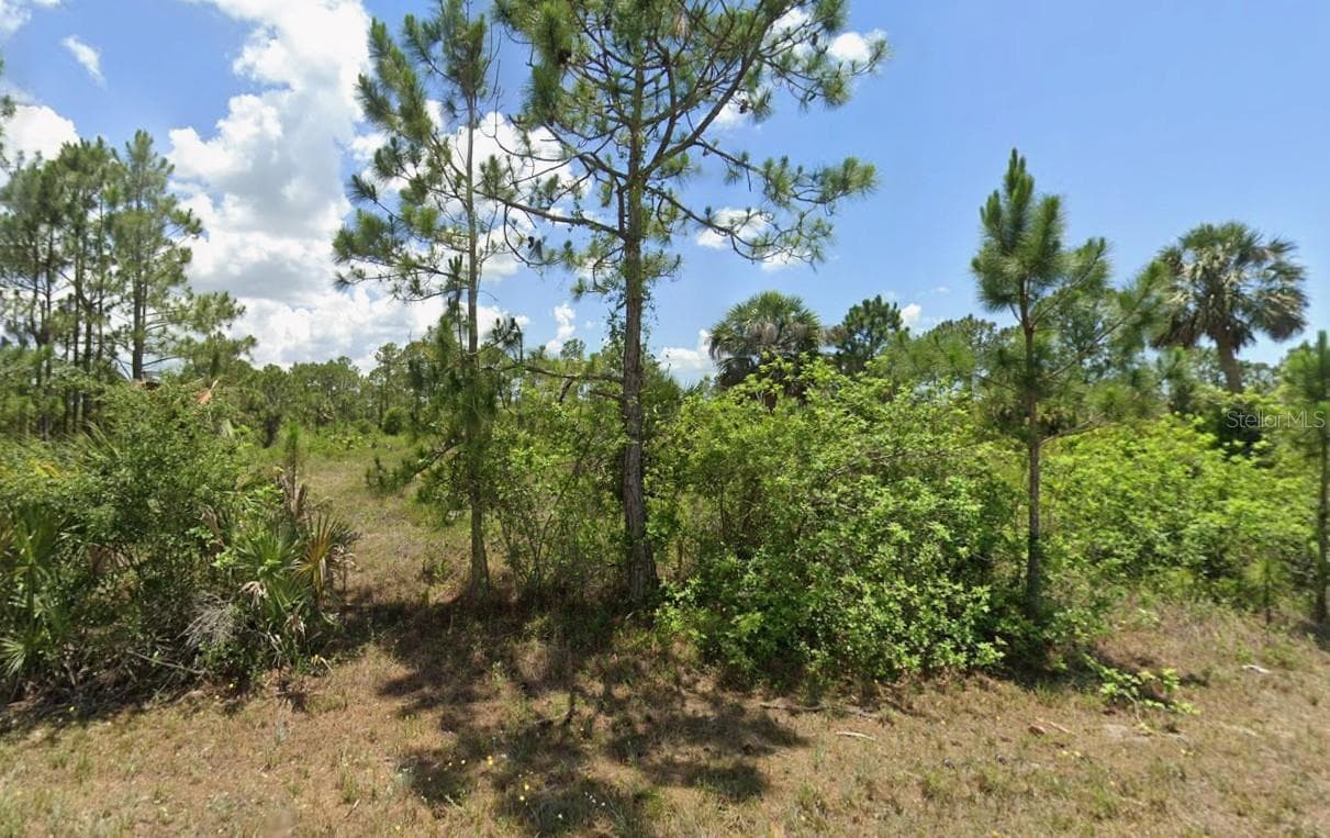 Single Family Residence at 947 CHADWICK AVE, LEHIGH ACRES, photo 7 of 7