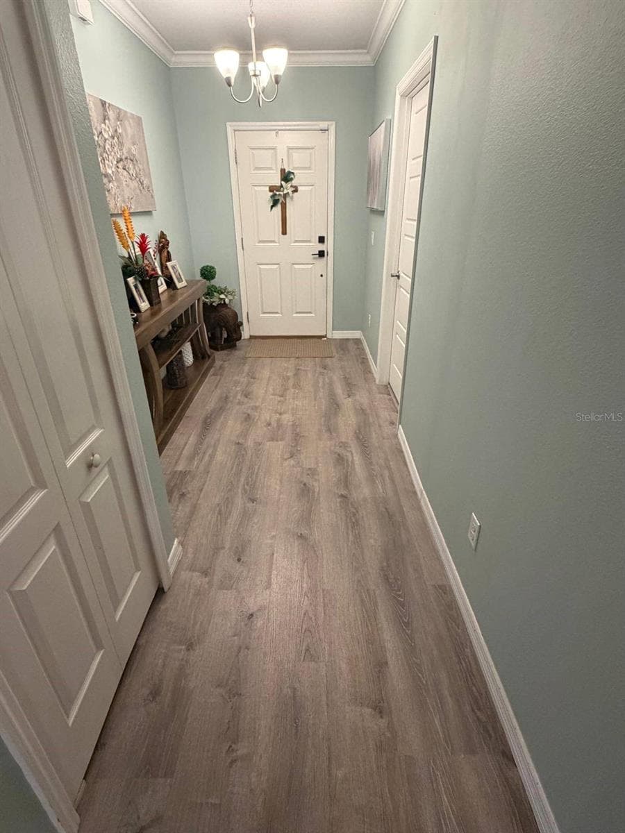 Entry way + guest room on right. - 15549 GEMINI DR, MASCOTTE