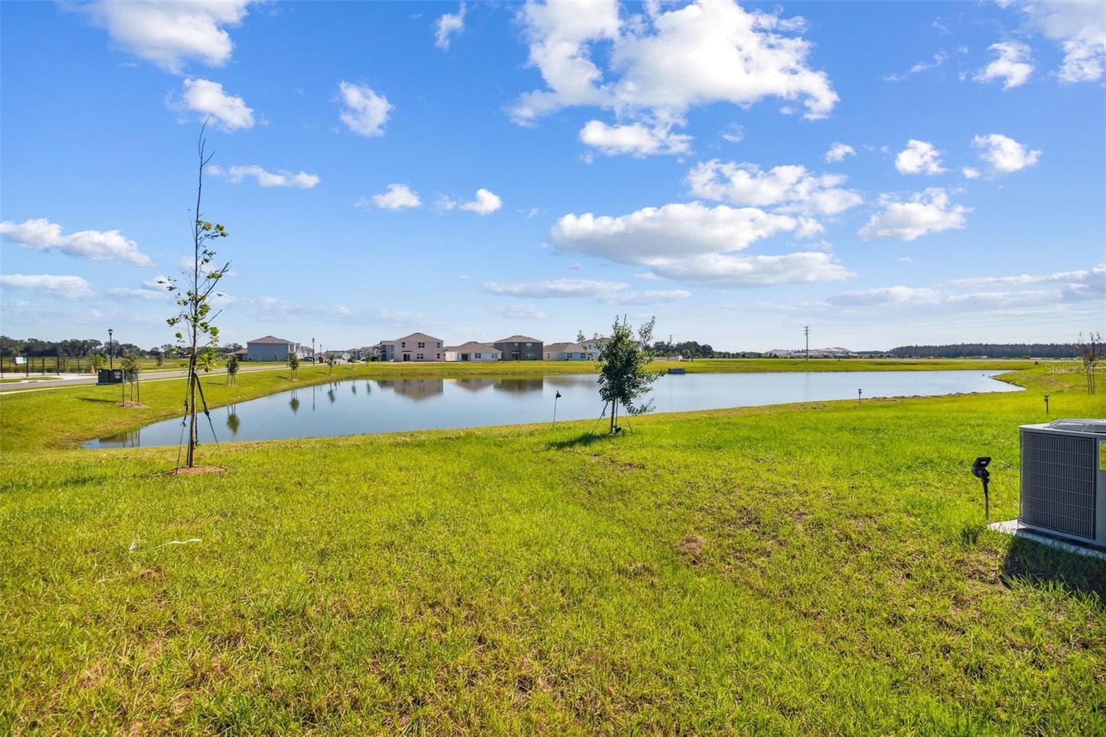 Single Family Residence at 2774 COMMON FIG RUN, WESLEY CHAPEL, photo 38 of 52