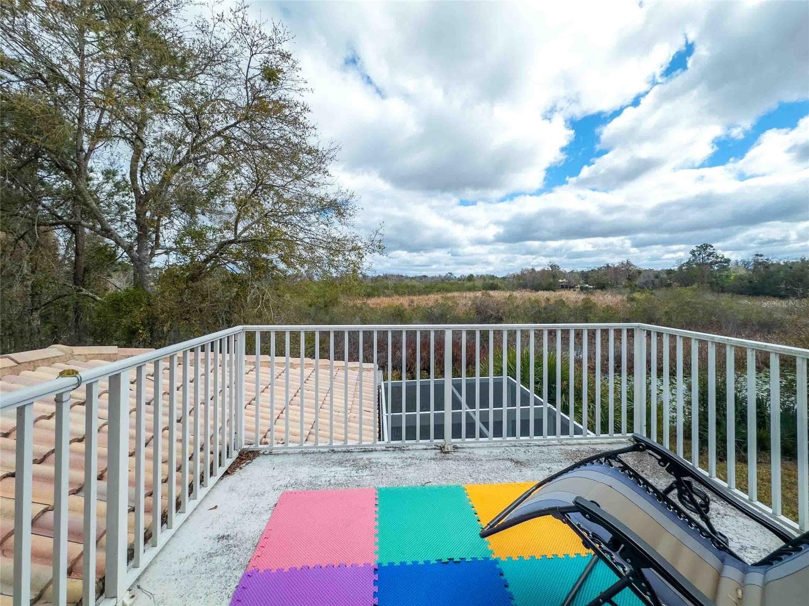 Single Family Residence at 21150 LOS CABOS CT, LAND O LAKES, photo 6 of 57