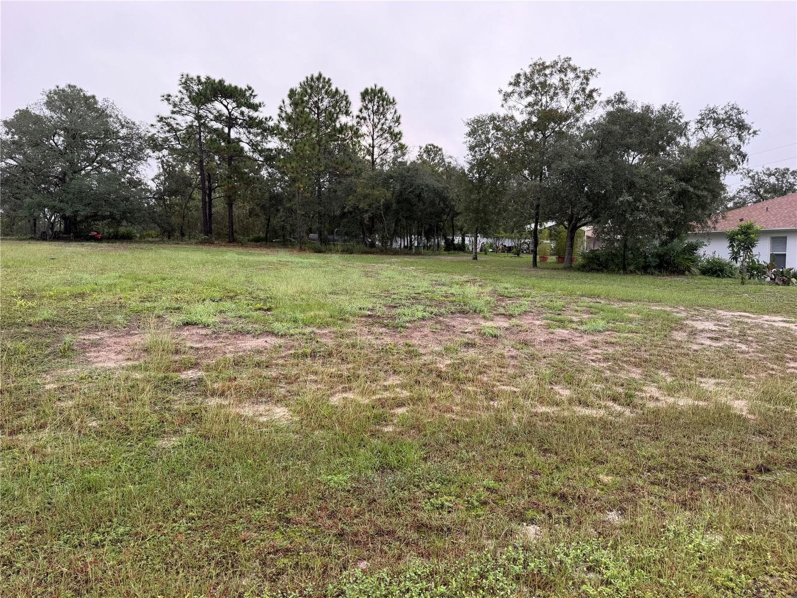 Land at 14042 ENGLISH SPARROW RD, WEEKI WACHEE, photo 2 of 5
