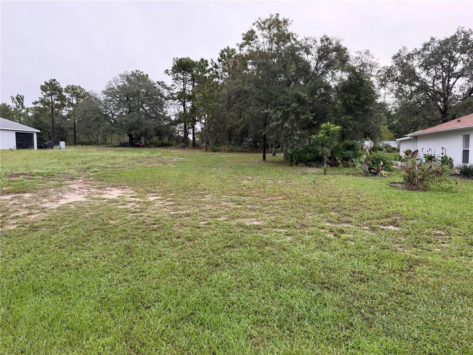 Land at 14042 ENGLISH SPARROW RD, WEEKI WACHEE, photo 4 of 5