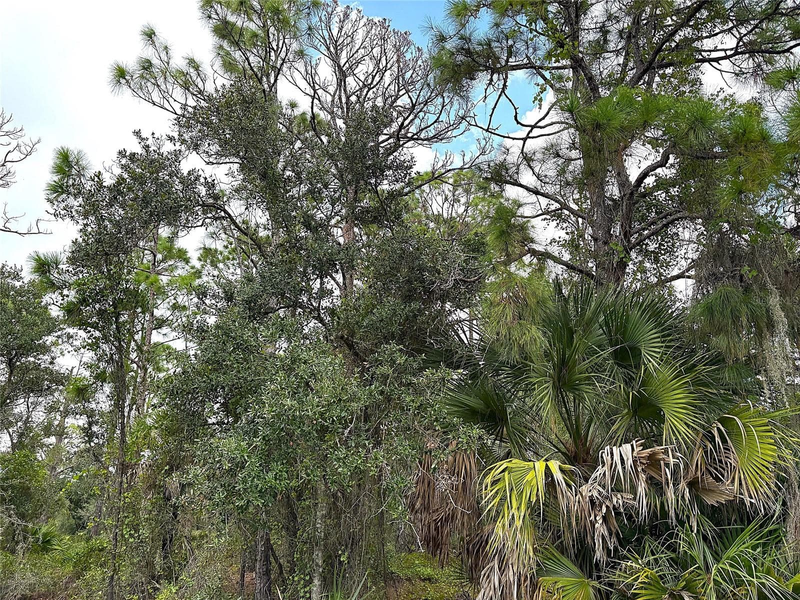Land at 14060 DUNLAP AVE, PORT CHARLOTTE, photo 2 of 8
