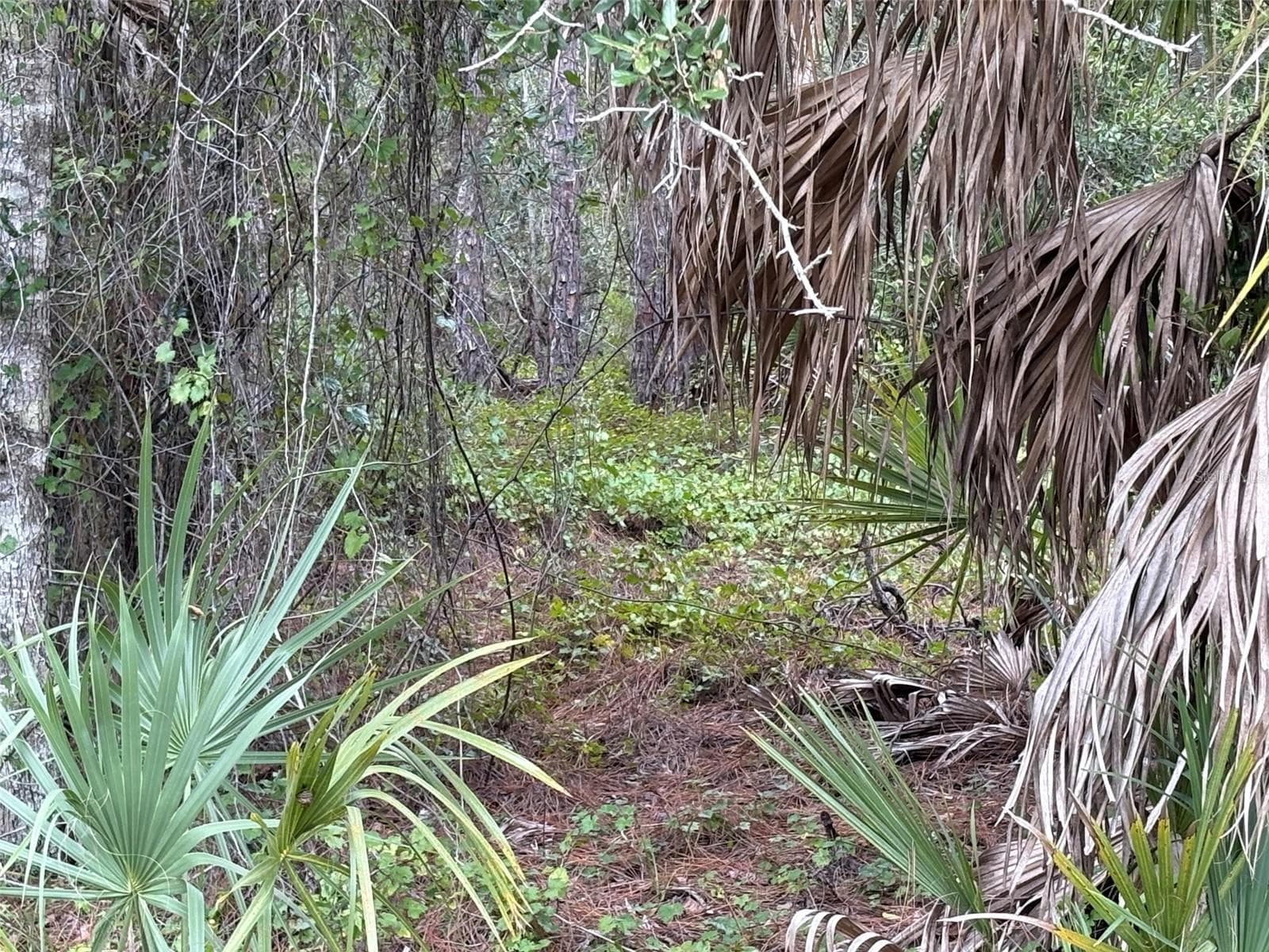 Land at 14060 DUNLAP AVE, PORT CHARLOTTE, photo 3 of 8