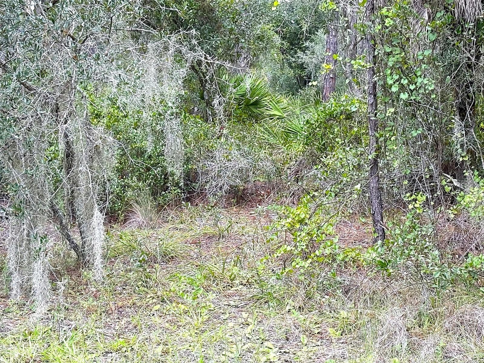 Land at 14060 DUNLAP AVE, PORT CHARLOTTE, photo 4 of 8