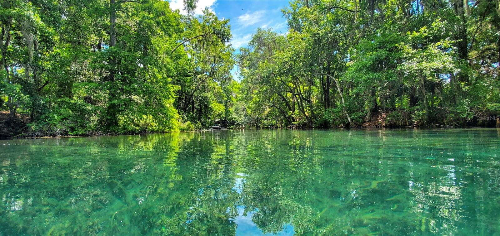 Rainbow River near home - 17946 SW 31ST ST, DUNNELLON