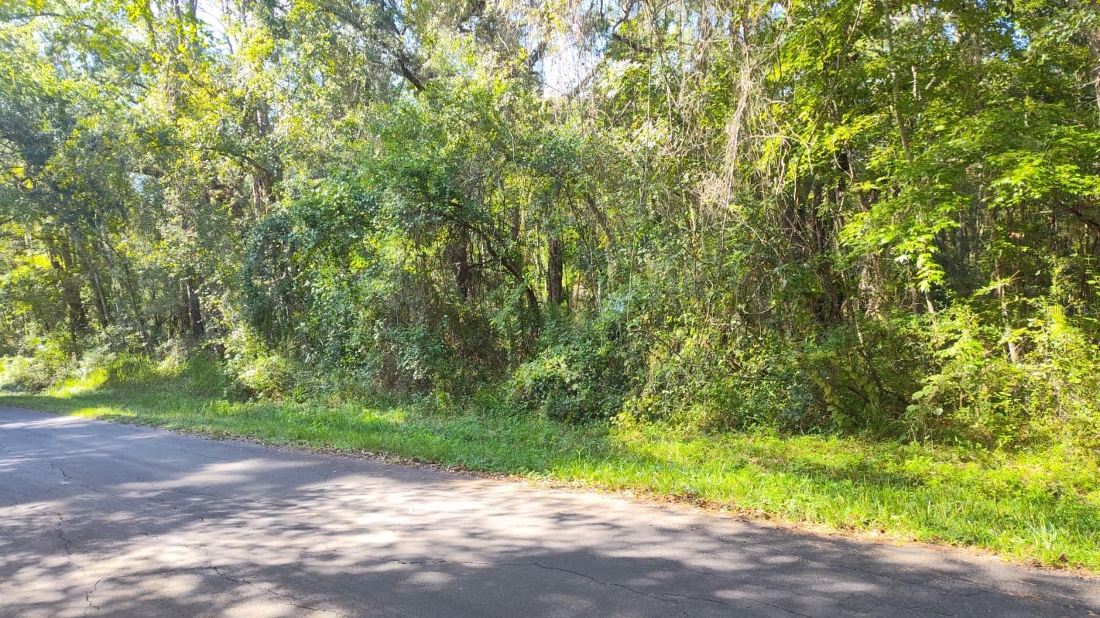 Land at 19289 CENTER ST, BROOKSVILLE, photo 2 of 6