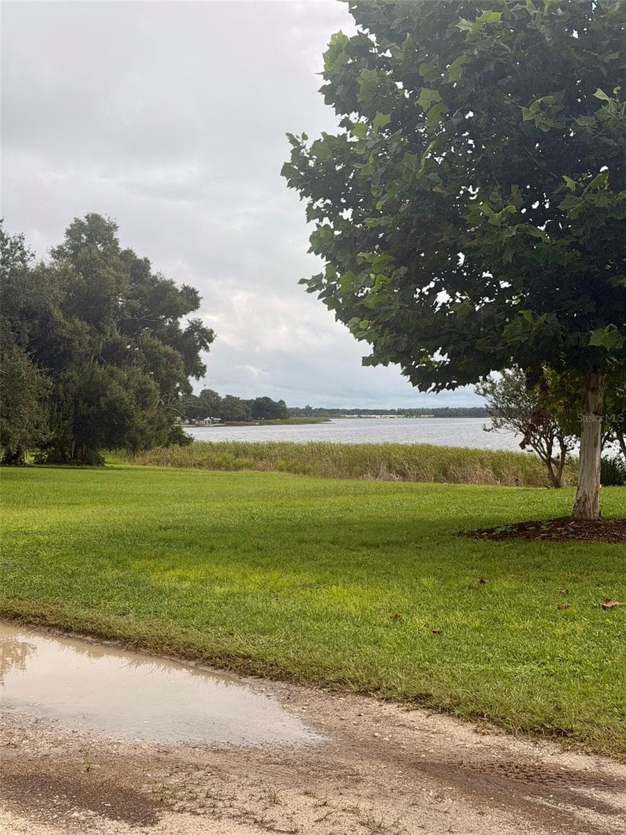 Land at 271 LAKEVIEW BLVD, LAKE ALFRED, photo 2 of 3