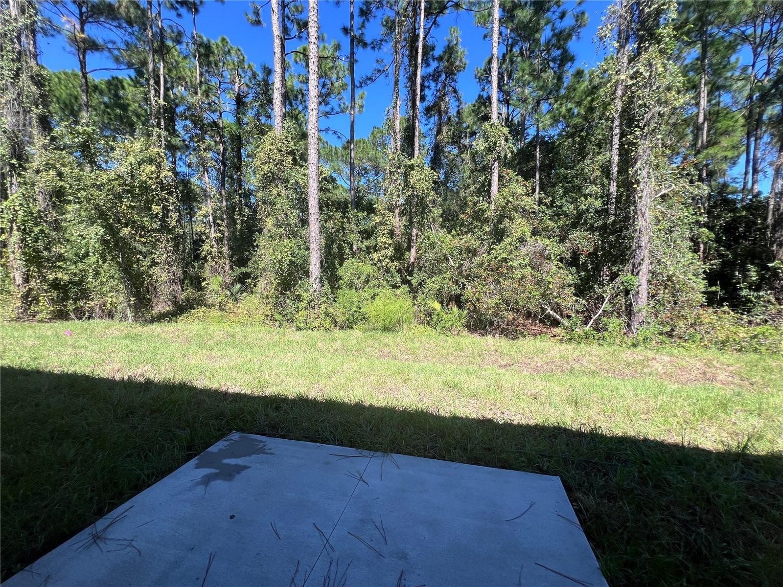 Side deck by Kitchen - 45 SANCTUARY AVE, DEBARY