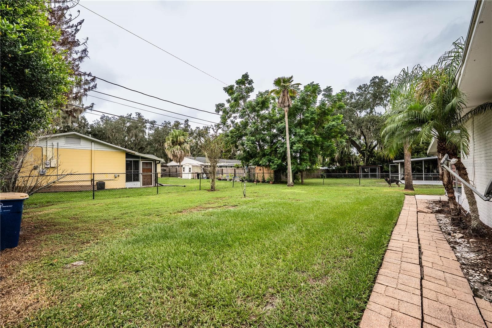 Back yard - 975 E MANN RD, BARTOW