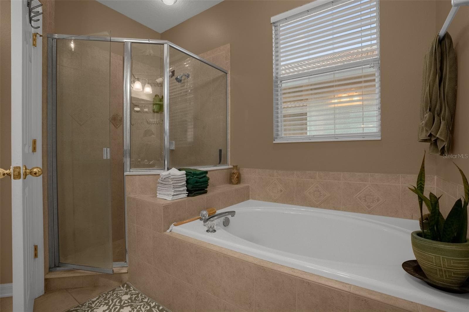 Single Family Residence at 8002 SAINT ANDREWS WAY, MOUNT DORA, photo 23 of 31