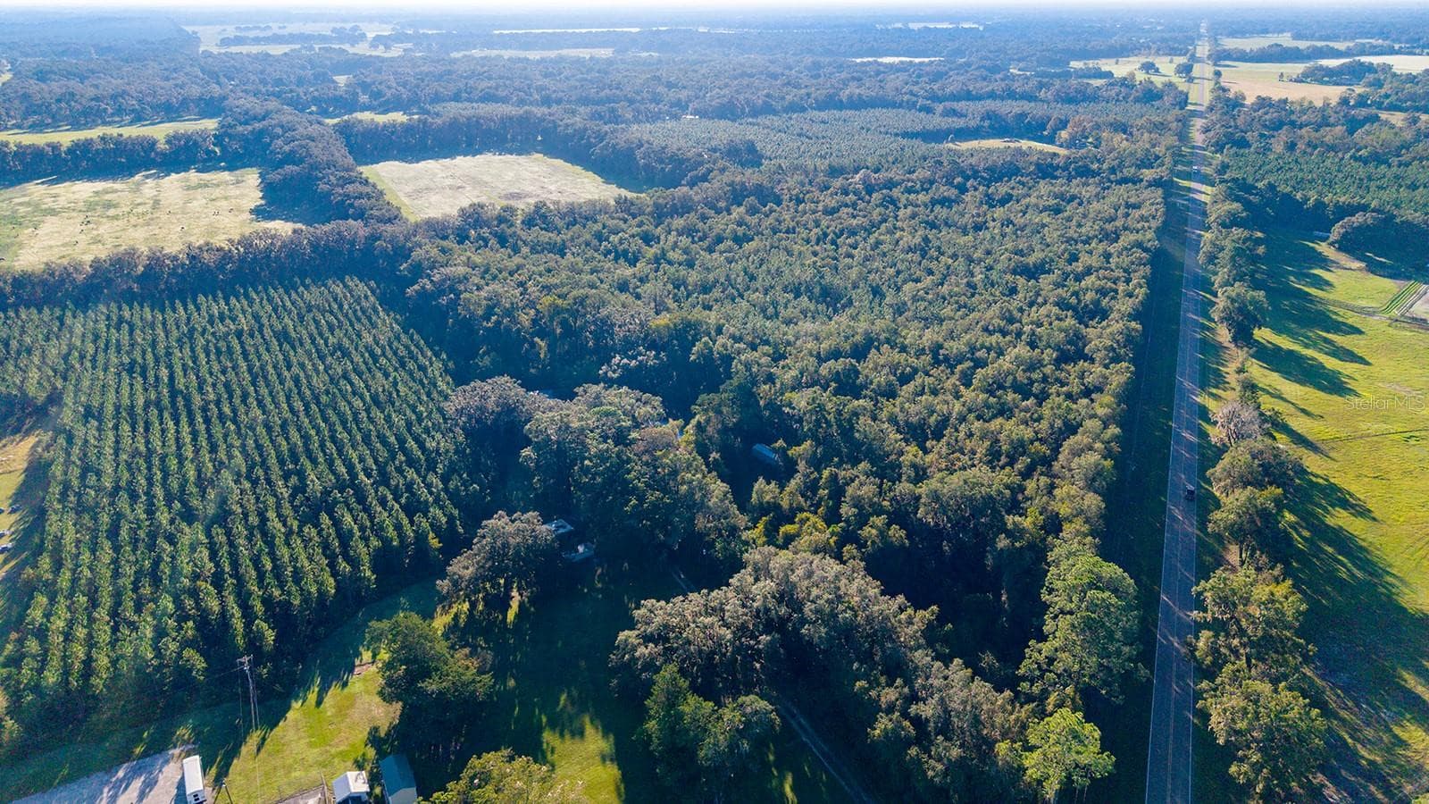 Land at TBD 00 NW COUNTY ROAD 339, TRENTON, photo 7 of 15
