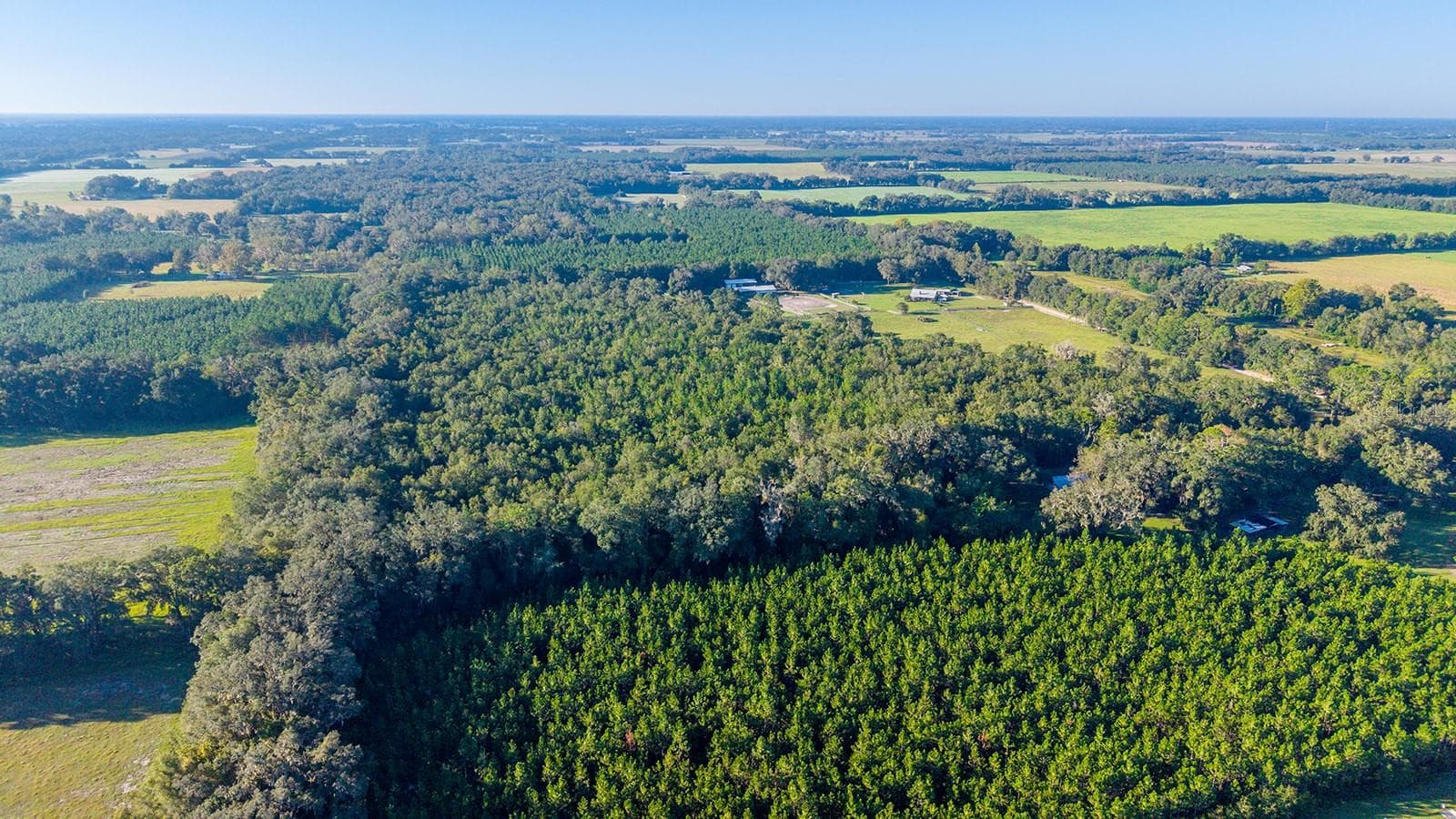 Land at TBD 00 NW COUNTY ROAD 339, TRENTON, photo 9 of 15