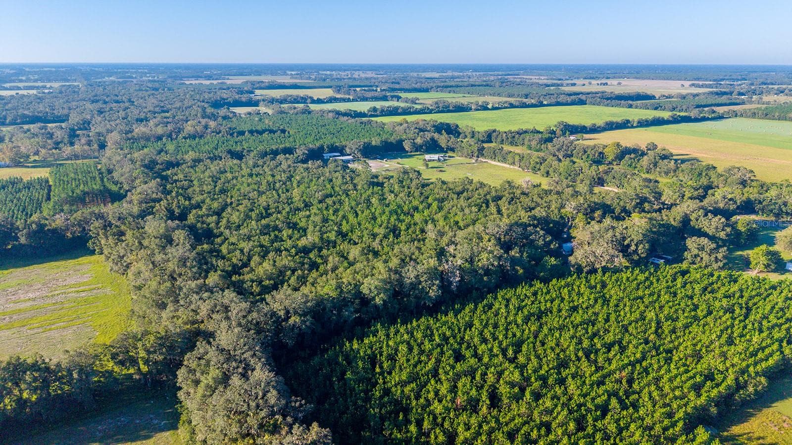Land at TBD 00 NW COUNTY ROAD 339, TRENTON, photo 10 of 15