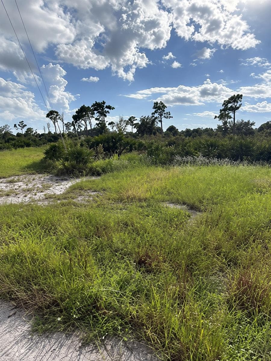 Land at 4 IDLE CT, PLACIDA, photo 4 of 6