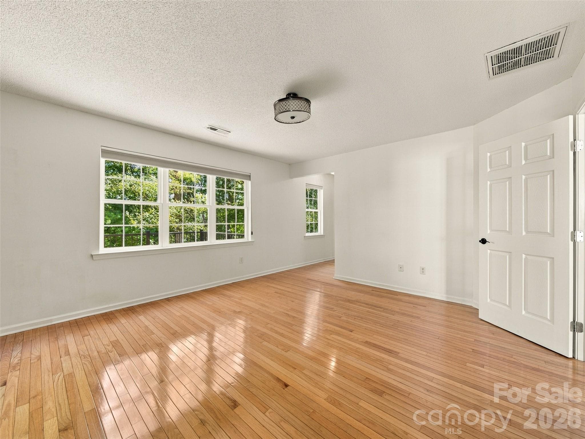 Primary looking at hall to closet and bathroom. - 317 Ewarts Hill Road, Hendersonville
