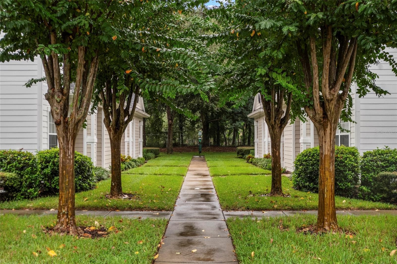 The approach to building 14, the grass is healthy, the trees are mature and the atmosphere says Welcome Home! - 1300 EASTERN PECAN PL #208, WINTER GARDEN