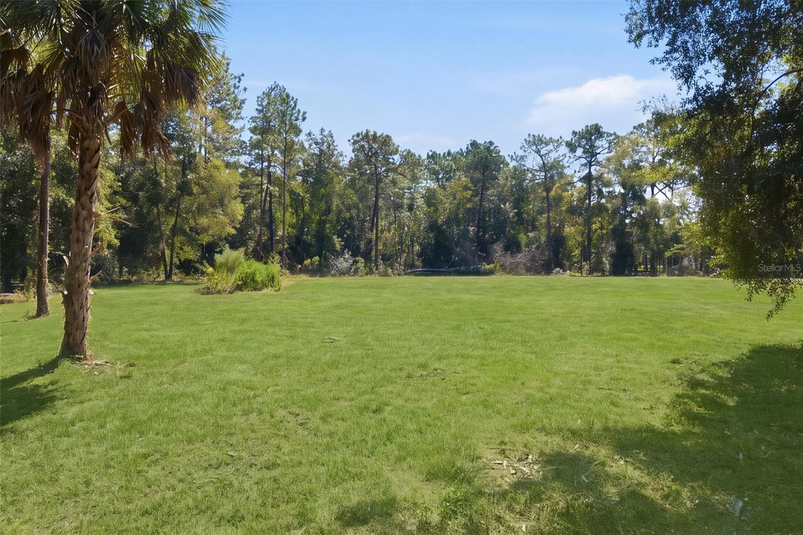Land at 14356 HIGHGROVE RD, SPRING HILL, photo 3 of 48