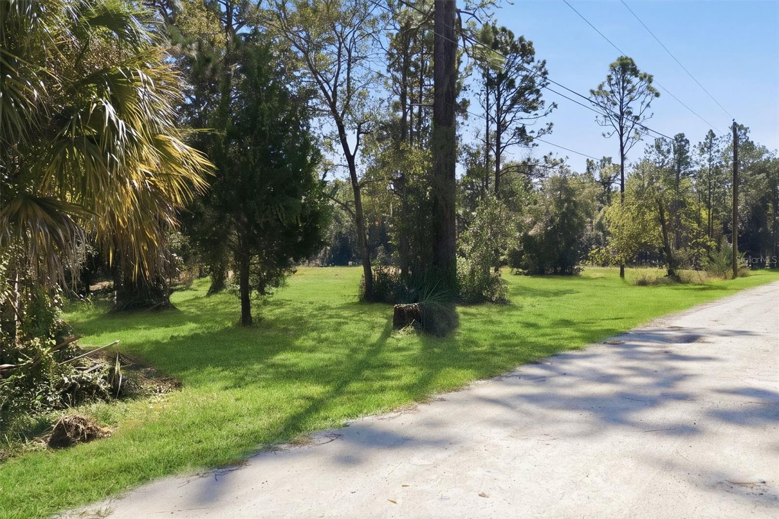 Land at 14356 HIGHGROVE RD, SPRING HILL, photo 4 of 48
