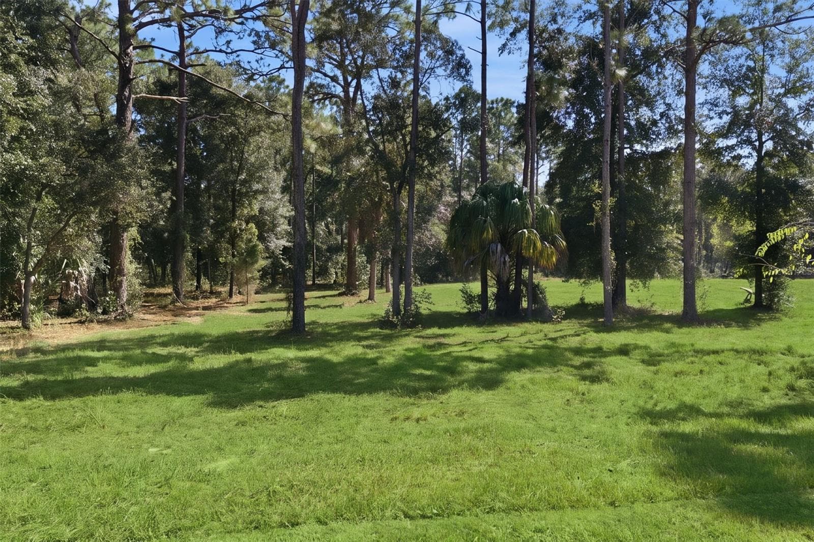 Land at 14356 HIGHGROVE RD, SPRING HILL, photo 14 of 48