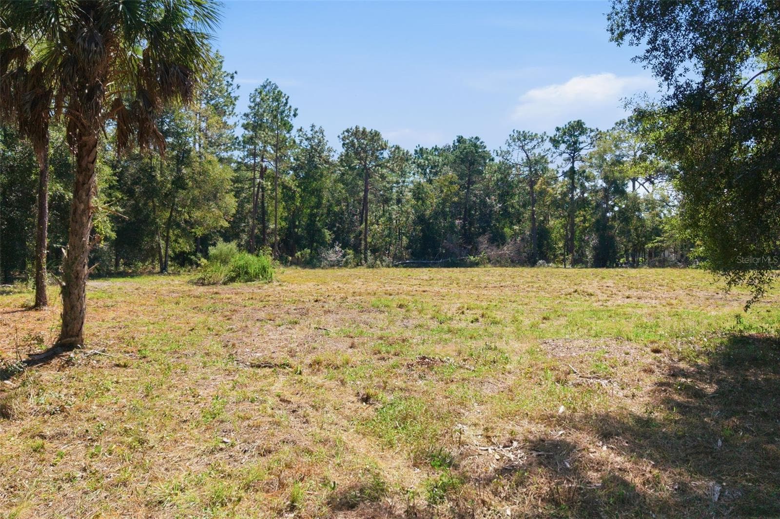 Land at 14356 HIGHGROVE RD, SPRING HILL, photo 29 of 48