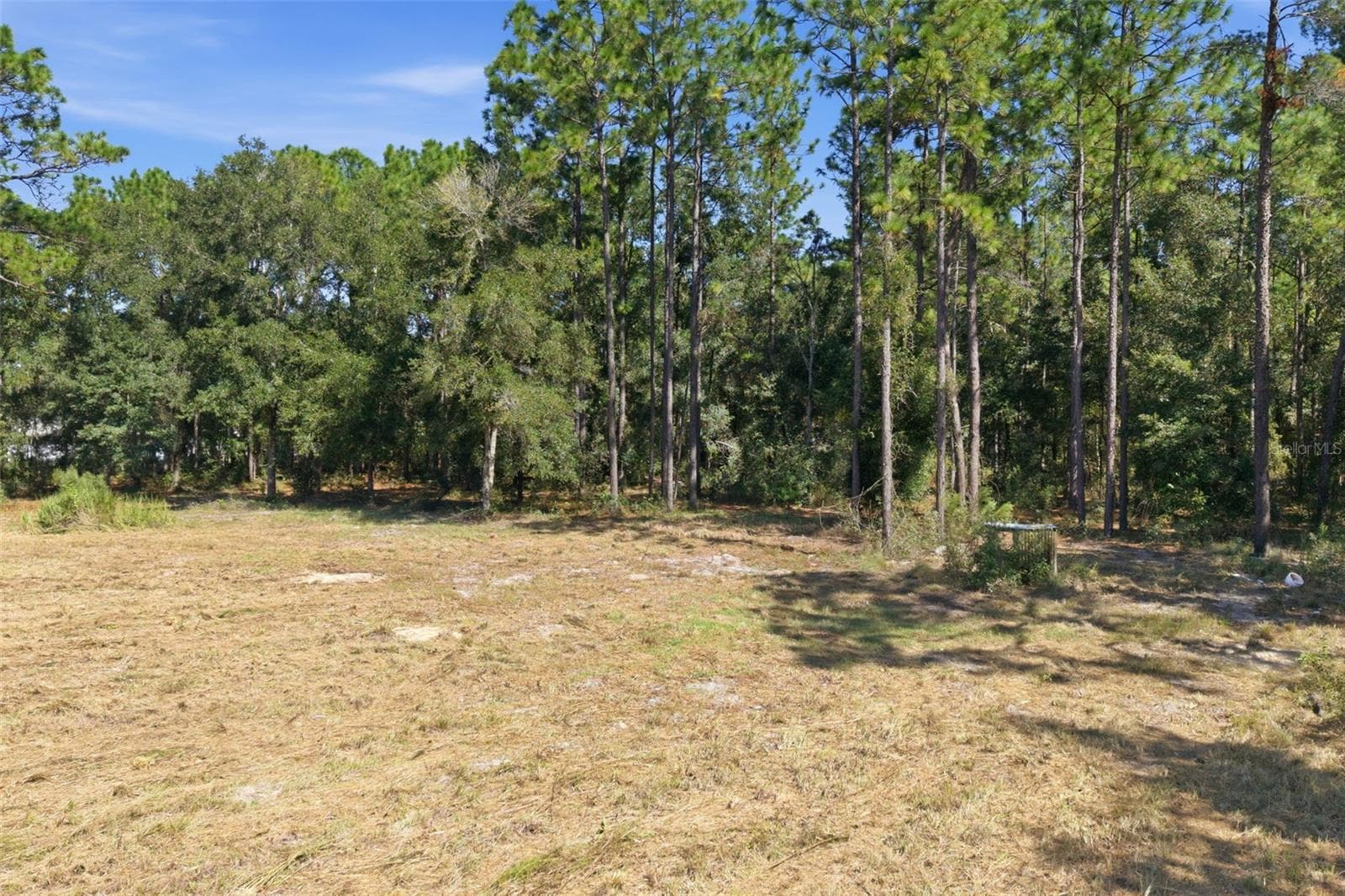 Land at 14356 HIGHGROVE RD, SPRING HILL, photo 31 of 48