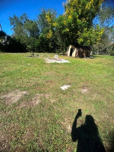 home back yard - 319 W 4TH ST, APOPKA