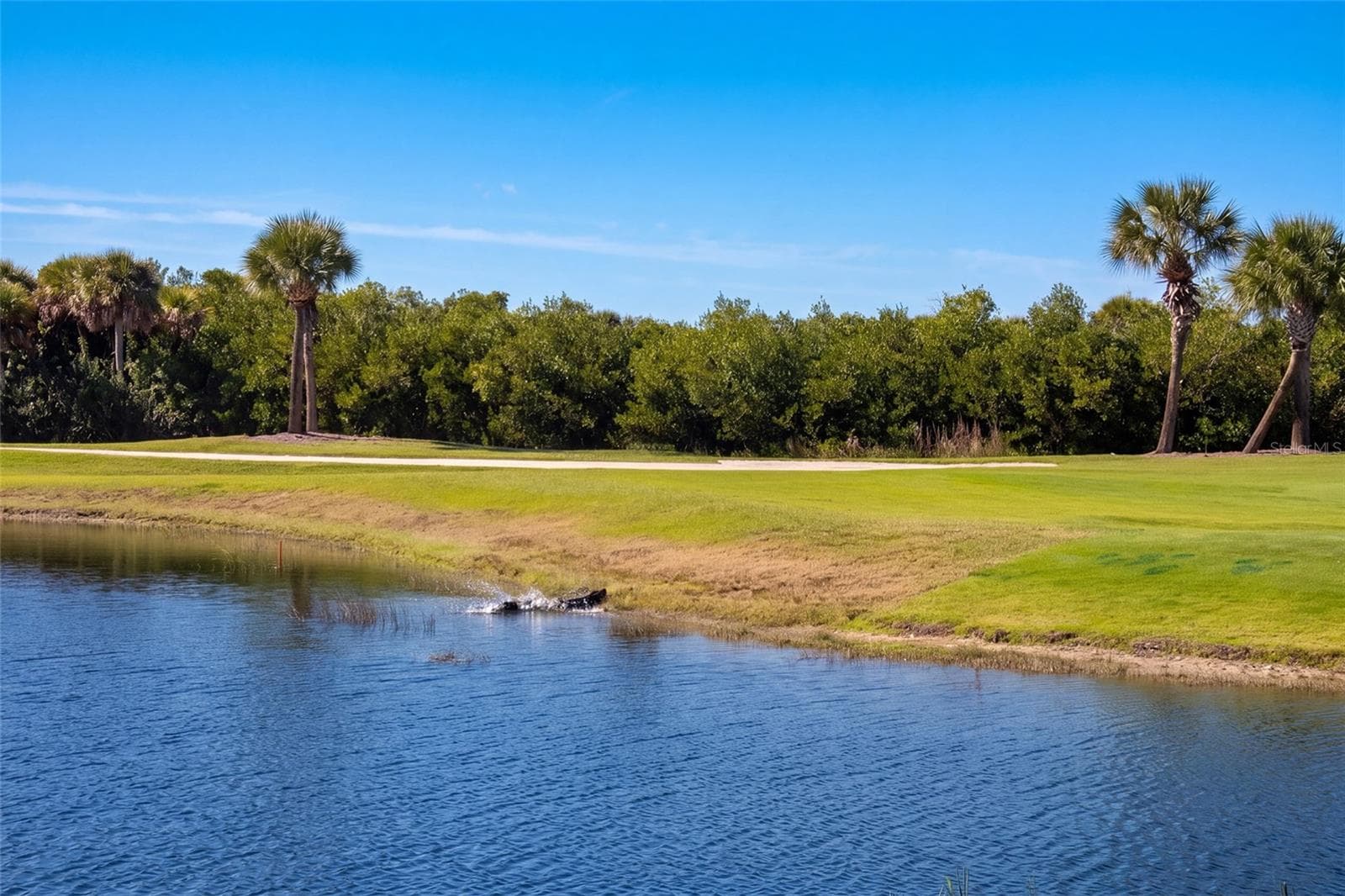 Back View - 14071 HERITAGE LANDING BLVD #314, PUNTA GORDA