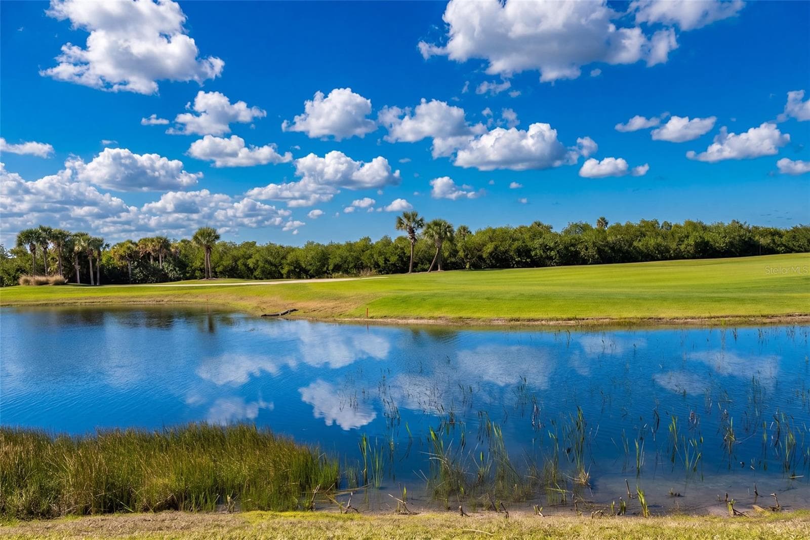 Back View - 14071 HERITAGE LANDING BLVD #314, PUNTA GORDA