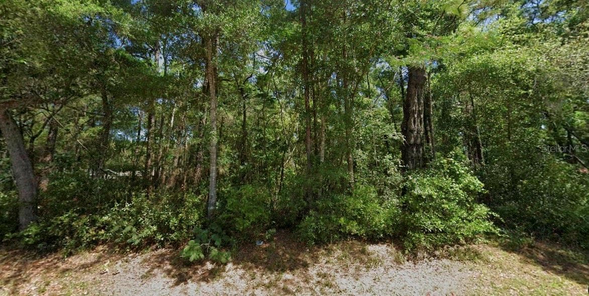 Land at 3403 E ROGERS ST, INVERNESS, photo 7 of 7
