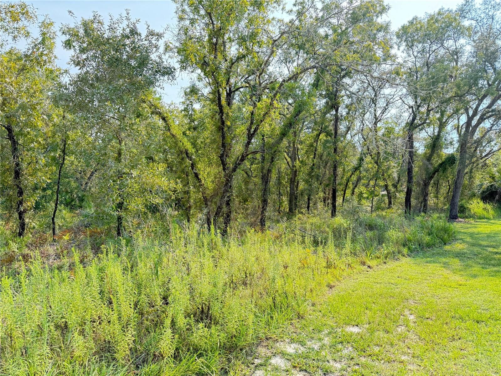 11096 MARSH WREN AVE