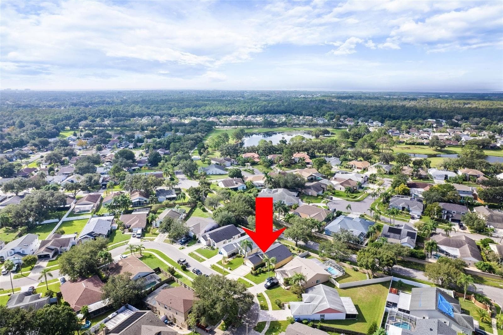 City Aerial View - 8761 HUNTFIELD ST, TAMPA
