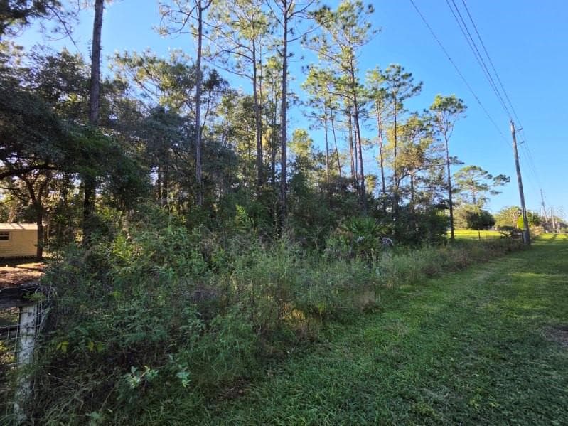 Land at SW 176TH AVE, DUNNELLON, photo 4 of 5
