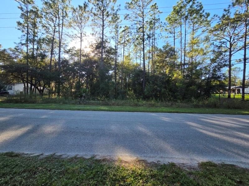 Land at SW 176TH AVE, DUNNELLON, photo 5 of 5