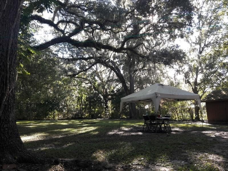 Backyard - 514 JEFF A LEE ST, BROOKSVILLE