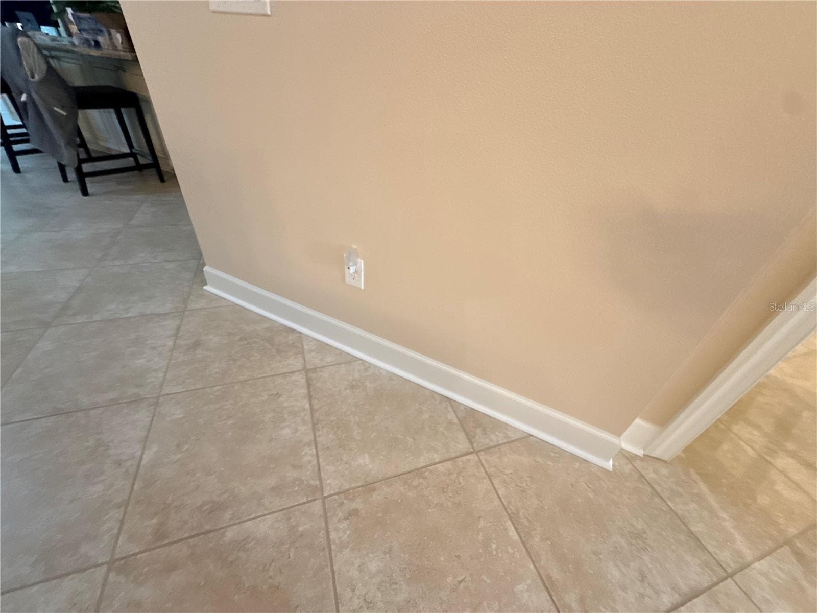 Single Family Residence at 10107 WICKER PARK PL, PALMETTO, photo 54 of 67