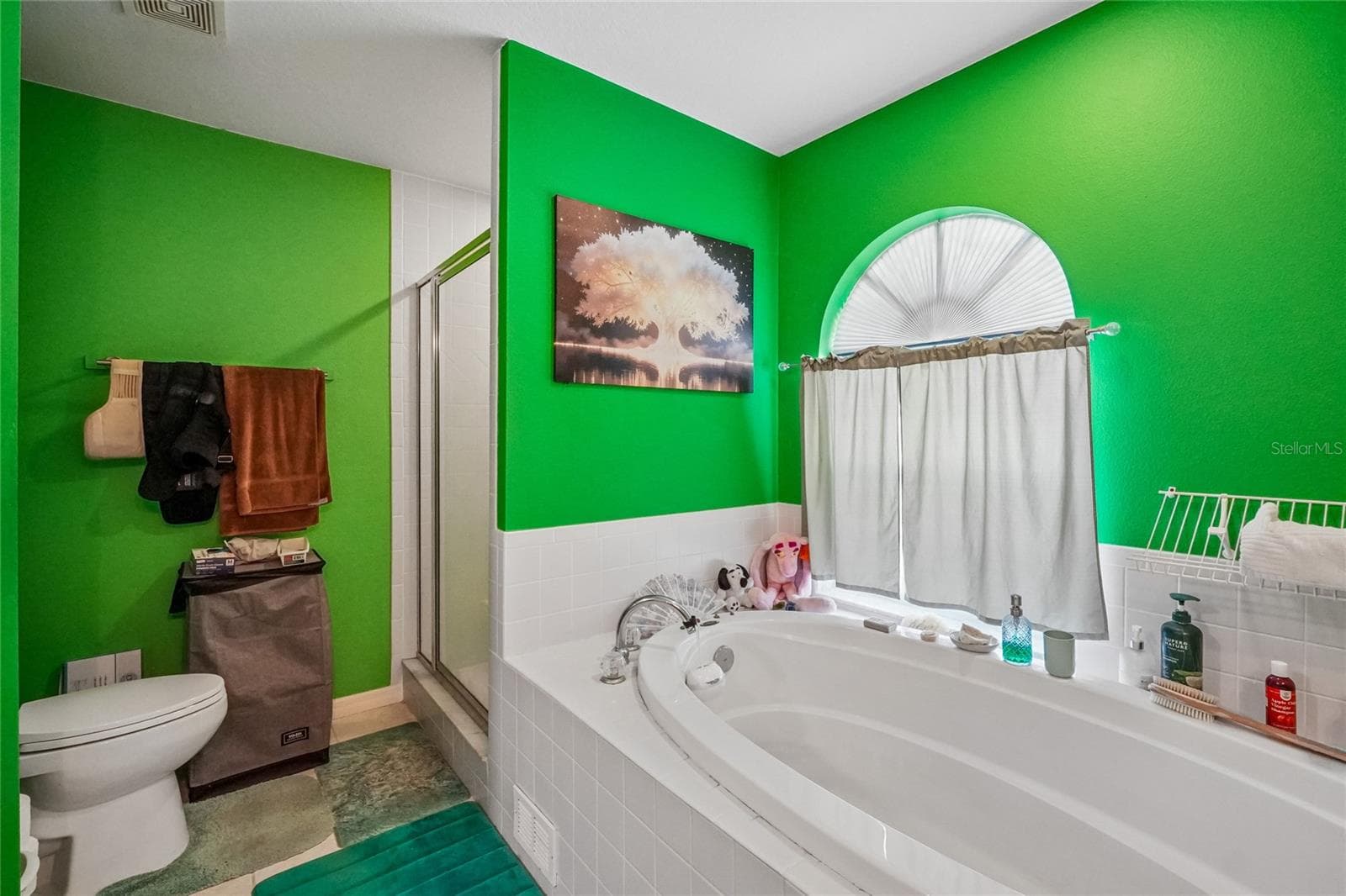 Master bathroom - 6074 BEECHWOOD DR, DADE CITY