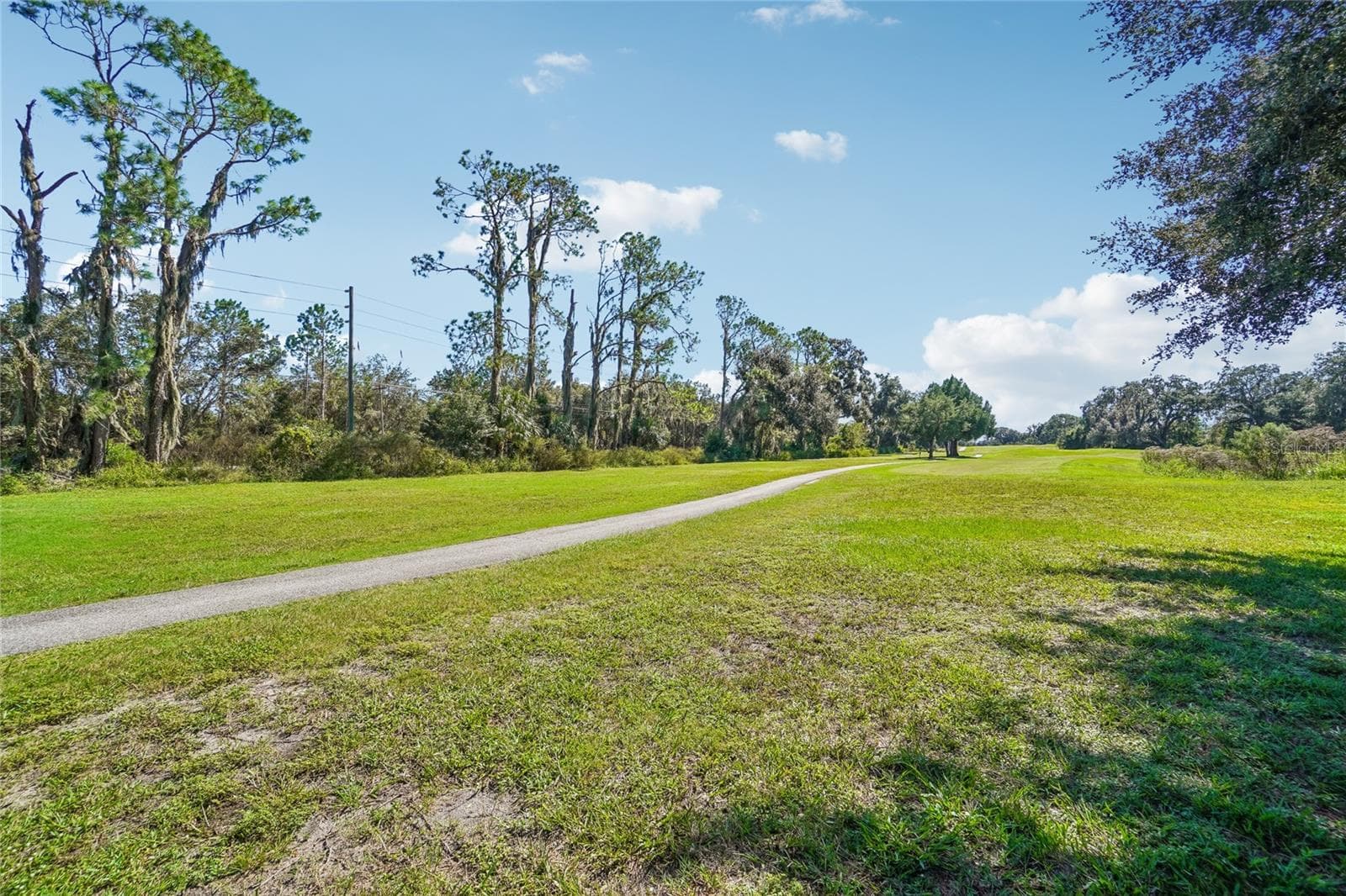 Back Yard - 6074 BEECHWOOD DR, DADE CITY