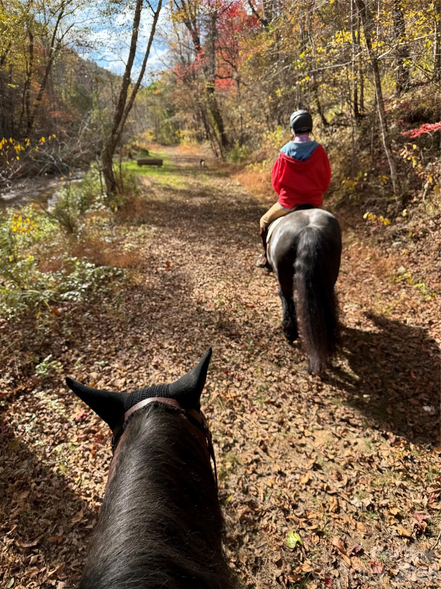 51 miles of preserve trails in Walnut Creek community - 140 Blazing Star Lane, Mill Spring