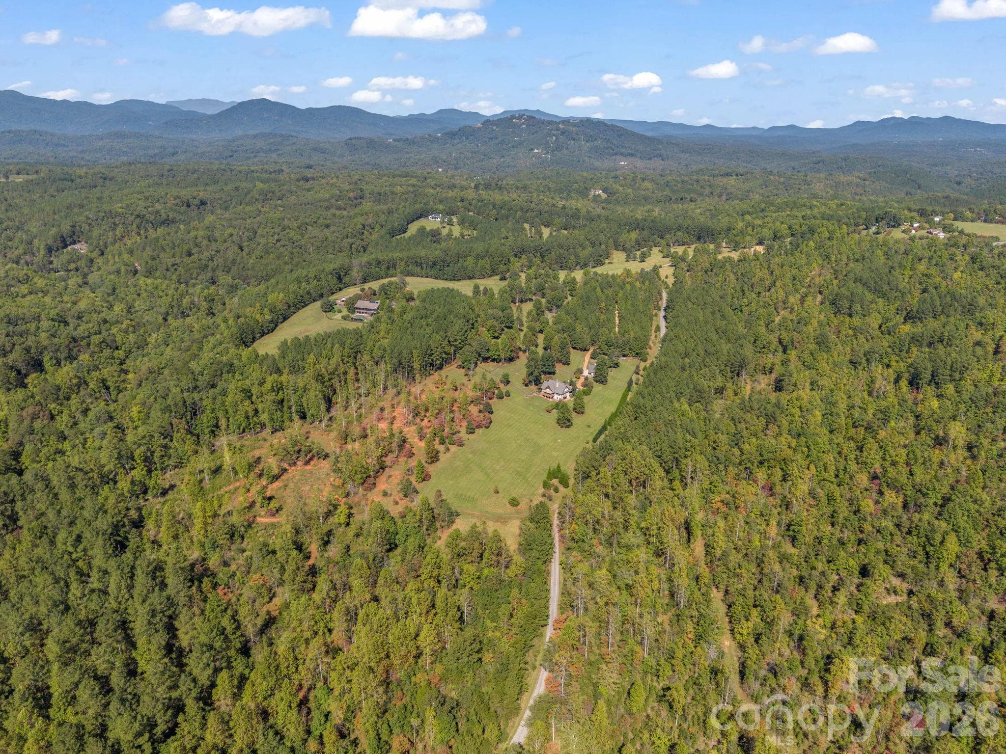 Aerial of over 20 acres with at least 8 acres of pasture - 140 Blazing Star Lane, Mill Spring