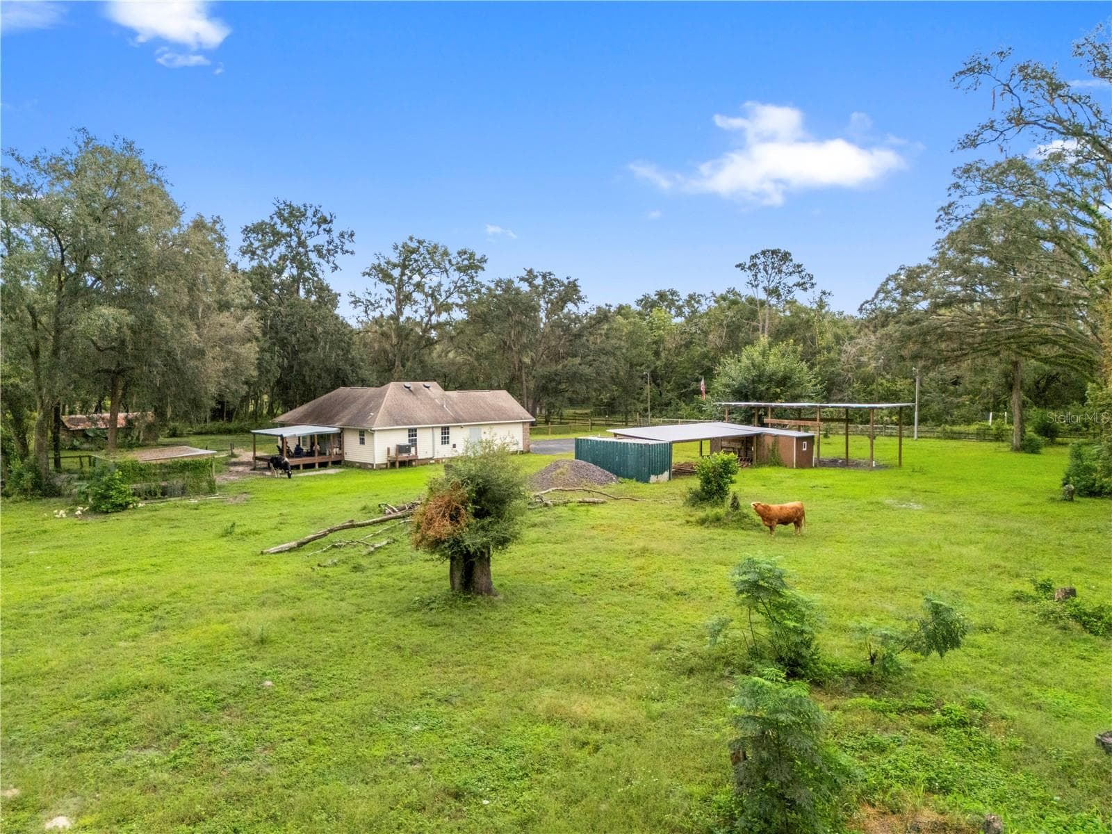 Single Family Residence at 18145 BOOMING RD, SPRING HILL, photo 49 of 63