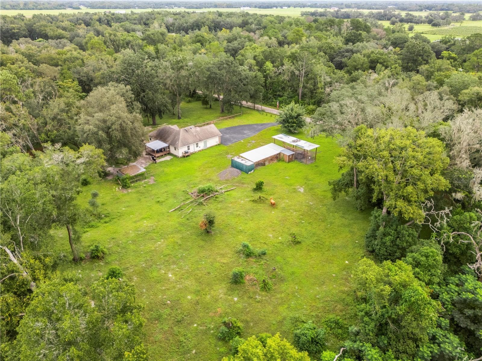 Single Family Residence at 18145 BOOMING RD, SPRING HILL, photo 56 of 63