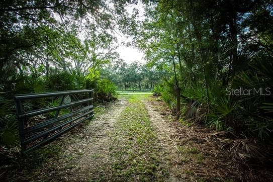 Land at 54720 ASTOR TRANSFER STATION RD, ASTOR, photo 3 of 24