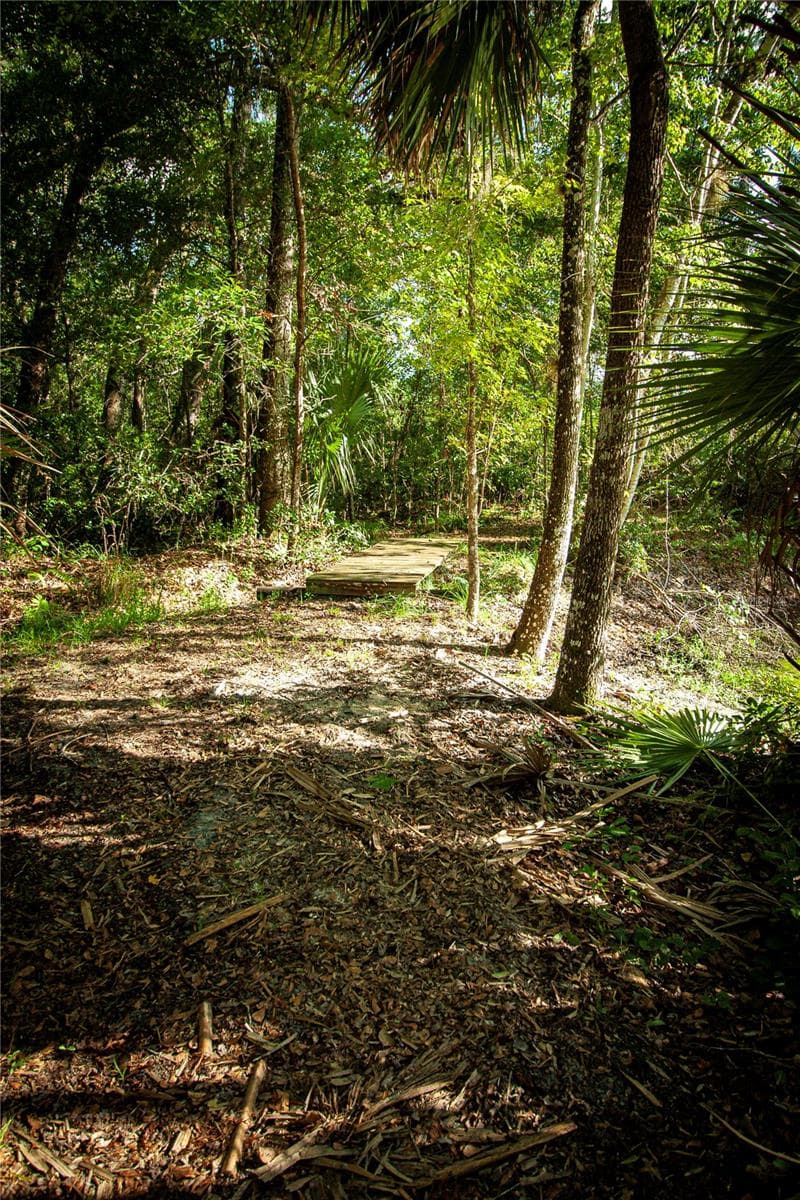Land at 54720 ASTOR TRANSFER STATION RD, ASTOR, photo 12 of 24