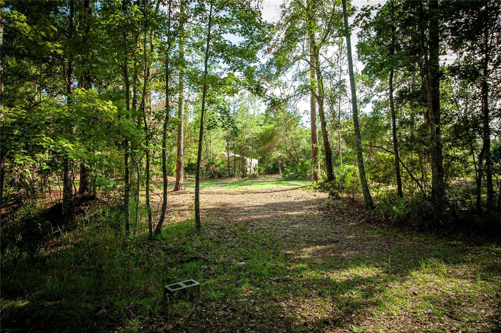 Land at 54720 ASTOR TRANSFER STATION RD, ASTOR, photo 15 of 24