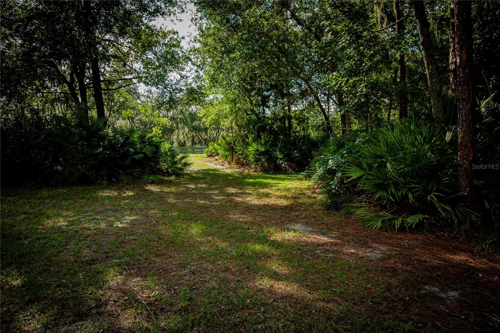 Land at 54720 ASTOR TRANSFER STATION RD, ASTOR, photo 16 of 24