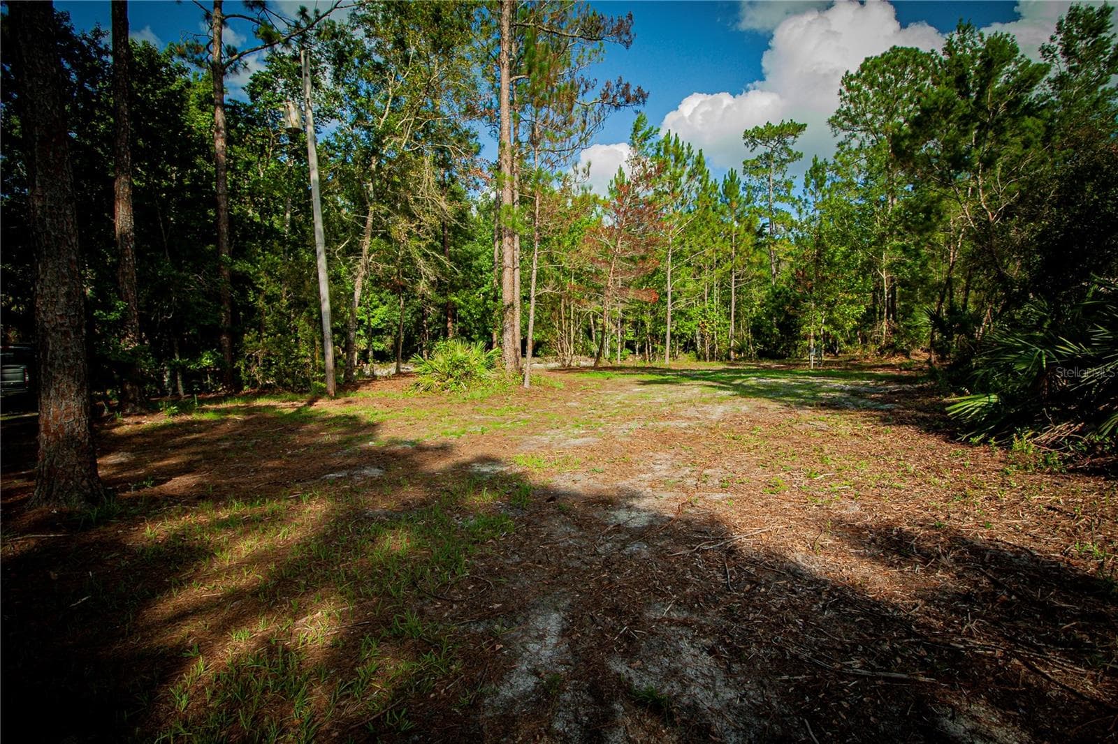 Land at 54720 ASTOR TRANSFER STATION RD, ASTOR, photo 17 of 24